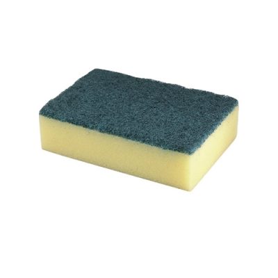 Scourers and Sponges