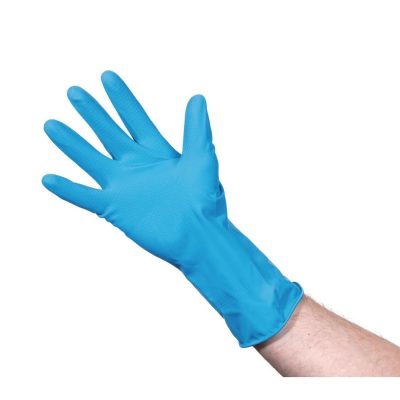 Disposable Gloves