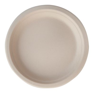 Disposable Plates & Bowls